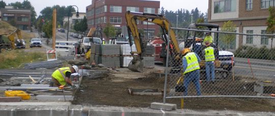 Working on the Trimet Project